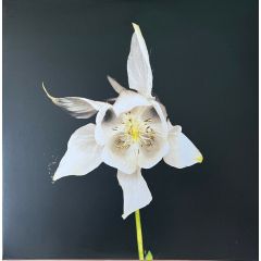 Fridge - Happiness - Temporary Residence Limited - TRR43LP