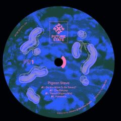 Pigeon Steve - FS1 - Future State - FS1