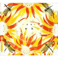 Alabaster DePlume - Come With Fierce Grace - International Anthem Recording Company - IARC0070