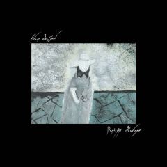 Adam Stafford - Daylight Slavings - Gerry Loves Records - LOVES028