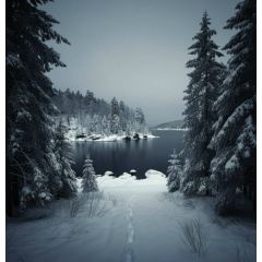 Rod Modell - Northern Michigan Snowstorms - 13 - sps2593