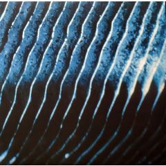 Monolake - Gravity - Field Records - FIELD 37