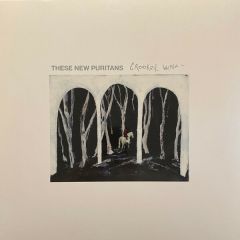 These New Puritans - Crooked Wing - Domino - WIGLP553