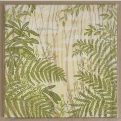 Morgan Szymanski , Tommy Perman - Songs For The Mist Forest - Blackford Hill - BH022V