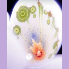 Courtney Bailey - In Dream - Second Circle - SC023