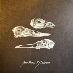 Jason Molina / MJ Lenderman - The Last 3 Human Words (Demo) / Just Be Simple (Songs: Ohia Cover) - Run For Cover Records - RFC311
