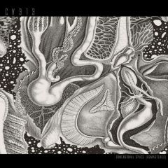 cv313 - Dimensional Space (Remastered) - echospace [detroit] - CV313LP