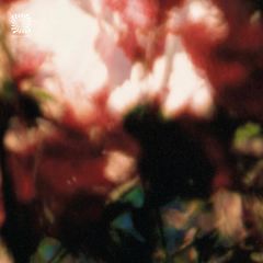 Euphonic Alliances Ltd - Peace Is It In You EP - Femacosmé - FEMACOSME 005