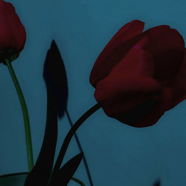 Various - A Model Kit - Platz Für Tanz - PFT2025V01